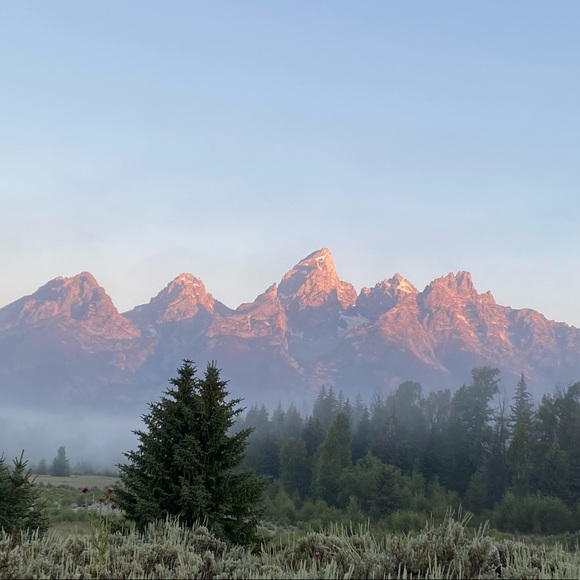 Meet your Posher, Robin - Picture 1 of 1